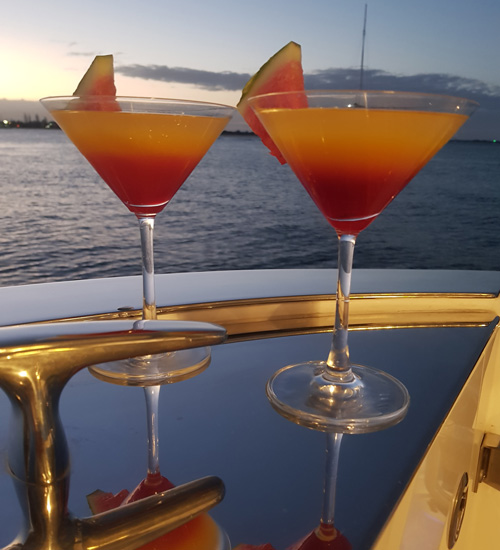 Float plane and pilot transfer for VIP Celebrity Escape